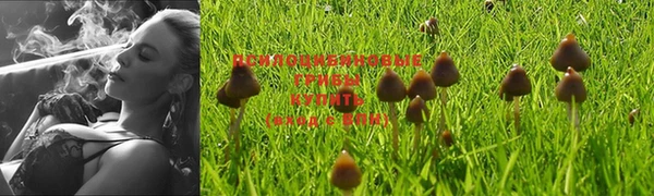 кокаин колумбия Арсеньев