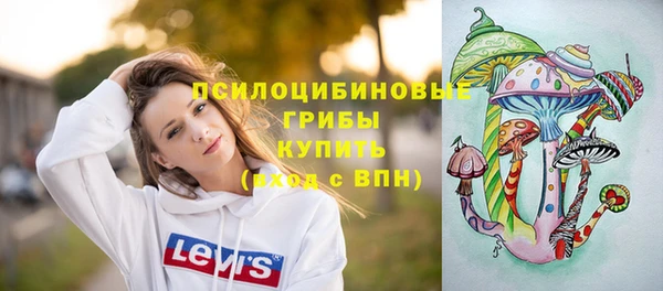 прущие крисы Армянск